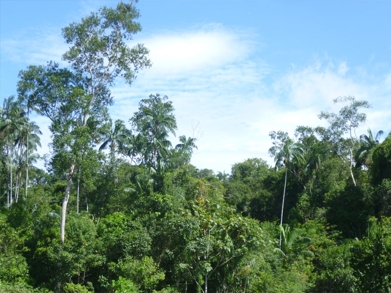 森林防火無線視頻監(jiān)控系統(tǒng)