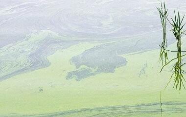 江蘇太湖污染源在線監(jiān)測(cè)項(xiàng)目