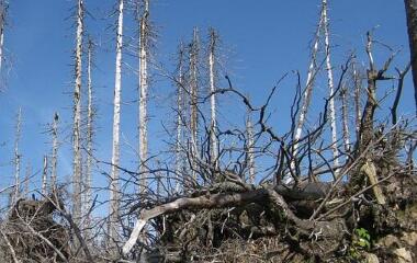 各省市氣象局酸雨觀測(cè)自動(dòng)化監(jiān)測(cè)項(xiàng)目